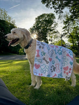 "Pawsitively Dry, Pawsitively Happy"