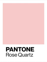 Soft and Romantic, Blush Pink