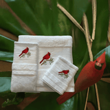 Signature Collection - Cardinal - Mellow Fiber