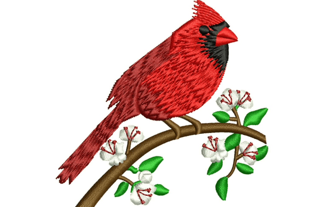 Signature Collection - Cardinal - Mellow Fiber