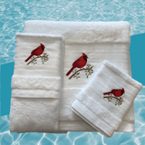 Signature Collection - Cardinal - Mellow Fiber