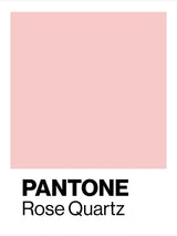 Soft and Romantic, Blush Pink - Mellow Fiber